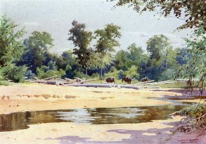 大象在Kokogon清除一块日志 作者 罗伯特·乔治·塔尔伯特·凯利